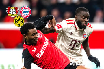 Bayern trifft auf Leverkusen! Bundesliga-Gipfel im Achtelfinale der Champions League