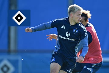 HSV-Blog: Katterbach nach klärendem Gespräch begnadigt