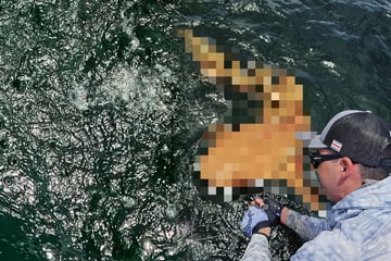 "Wie ein Außerirdischer": Fischern bleibt der Atem weg, als sie sehen, was an ihrem Angelhaken zappelt