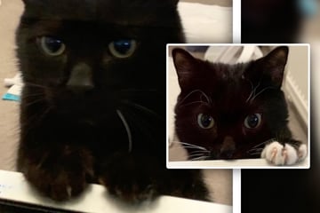 Max und Mecky vom Schicksal hart getroffen: Gibt es wenigstens ein Happy End?