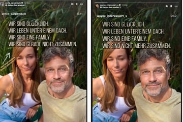 Trennung bei den Carpendales: Wayne turtelt mit neuer Flamme, Detail im Statement irritiert