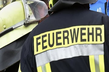 Hund sei Dank: Anwohner fliehen rechtzeitig aus brennender Wohnung