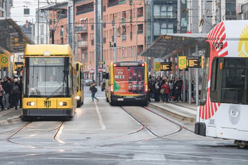 DVB kündigen an: Diese Linien fahren ab morgen anders