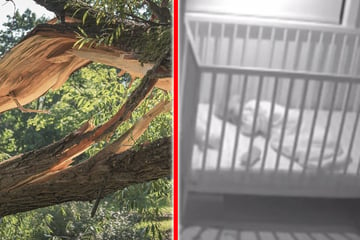 Babyfon filmt alles: Baum kracht während Sturm durch Dach und fällt auf Gitterbettchen