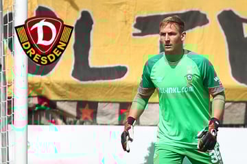 Dynamo-Dresden-Blog: Ehemaliger SGD-Torhüter heuert in der 3. Liga an