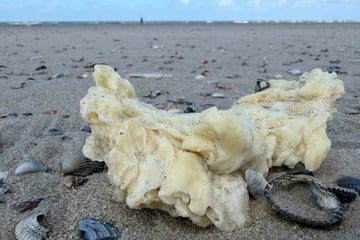 Schon wieder: Weiße Klumpen an Stränden von Nordseeinseln angespült