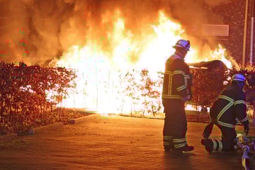 Hamburg: Flammen-Inferno! Feuerwehr auf Schulgelände im Einsatz