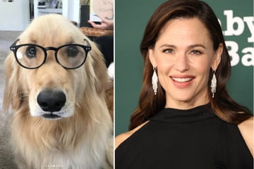 Jennifer Garner trauert um verstorbenen Hund: Ein Familienmitglied tröstet sie besonders