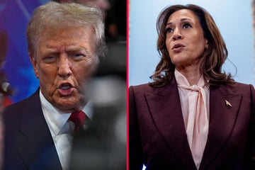 Trump offers Kamala Harris some unsolicited career advice amid rumors of gubernatorial bid