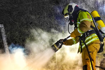 Dresden: Zahlreiche Feuerwehreinsätze am Neujahrstag: Laubenbrand legt Bahnverkehr lahm
