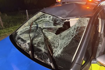 Tödlicher Unfall mit Polizeiauto: Streifenwagen überfährt Radfahrer