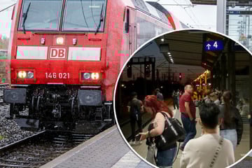 Kabel durchgeschnitten: S-Bahn zwischen Heidenau und Bad Schandau fährt wieder