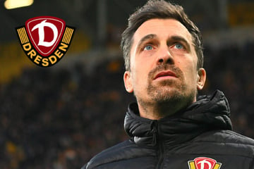 Dynamo-Coach Stamm ist sich sicher: "Es wird keiner abheben"