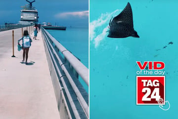 Viral Video of the Day for February 8, 2025: Mom and daughter spot incredible sea creature on way to cruise ship!