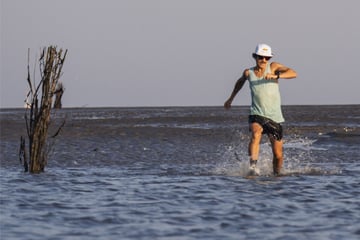 Gegen die Gezeiten: Weltweit erster Wattlauf mitten durchs UNESCO-Weltnaturerbe