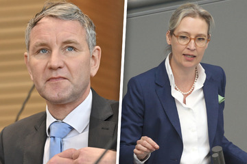 AfD-Co-Chefin Weidel verteidigt gemeinsamen Auftritt mit Höcke in Erfurt: "Keine Ausnahme"