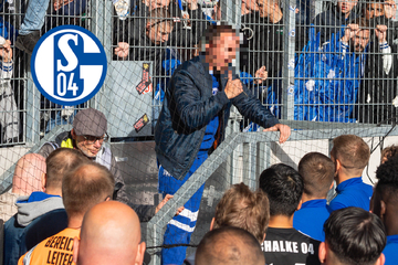 Schalke-Ultra brüllt seinen Frust heraus: Hier liest ein Fan den Verlierern die Leviten