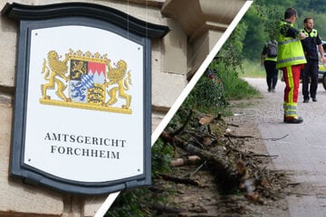 Bub (†8) von Baum erschlagen: Hätte der Grundbesitzer das Unglück verhindern können?