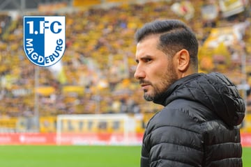 Auch Fiél ein Kandidat? Vier Trainer für den 1. FC Magdeburg