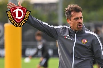 Dynamo-Coach Stamm lässt keine Ausreden zu: "Genügend Zeit zum Regenerieren"