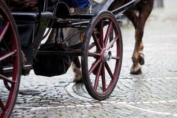 Kutscher gehen die Gäule durch und muss schwer verletzt ins Krankenhaus