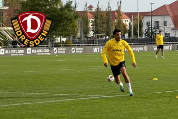 Dynamo-Dresden-Blog: SGD-Profi Schmidt arbeitet weiter am Comeback