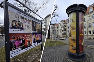 Dresden: Bunt und leuchtend: So viel Kasse macht das Rathaus mit der City-Light-Werbung