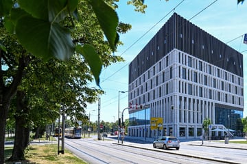 Dresden: Rathaus-Jobs: OB Hilbert plant noch größeren Kahlschlag