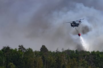 Nach zwei Wochen Waldbrand: Feuerwehr gibt Entwarnung für Gohrischheide