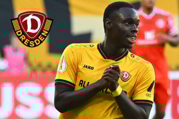 Dynamo-Dresden-Blog: Trotz Nominierung! Amoako und Pauli sagen für Länderspiele ab