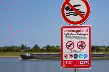 Nächste Stadt mit strengem Badeverbot im Rhein: Auch hier müsst Ihr bei Verstoß blechen