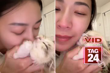 Viral Video of the Day for January 24, 2026: This cat is giving kisses back, and the internet is losing it!