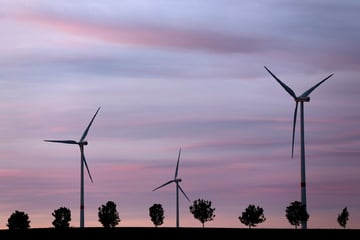 Erneuerbare Energien: So stehen die Sachsen dazu