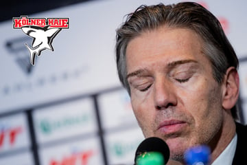 Kölner Haie machen kurzen Prozess: Trainer Uwe Krupp gefeuert!