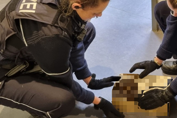 Tierisch-süßer Einsatz: Polizei rettet zwei Nachwuchs-Räuber!