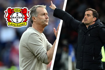 Hjulmand-Nachfolger gefunden! Er übernimmt Bayer Leverkusen