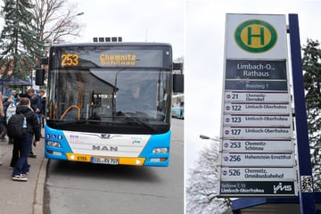 Stadtrat lehnt digitale Anzeigen an Haltestellen ab: "Wichtige Chance verpasst"