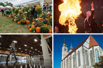 Erntedank, Messe, Festivals und Konzerte: Das ist an diesem Samstag in Magdeburg los!