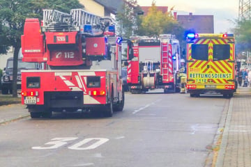 Vogel verstopft Abgasrohr: Frau stirbt an Kohlenmonoxid-Vergiftung