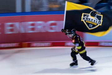 Krefeld Pinguine gewinnen erstes "Straßenbahn-Derby" in der DEL2-Geschichte
