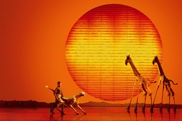 Hamburg Veranstaltungen: "König der Löwen" für alle: Musical-Klassiker kündigt erste "Relaxed Performance" an