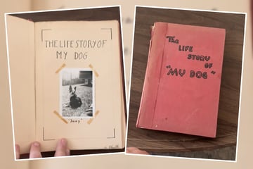 Frau entdeckt Tagebuch aus den 1940er-Jahren: Die Geschichte endet mit bewegendem Wunsch