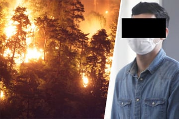 Shisha-Raucher lösten Großbrand im Nationalpark aus: So lautet das Urteil