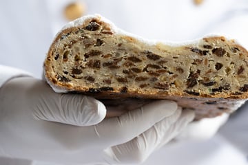 Dresden: Traumjob! Stollenprüfer walten hier ihres Amtes