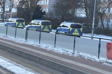 Entführungsfall enttarnt? Zeugin hört Hilferufe aus Transporter