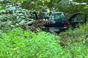 Nach Einbruch in Einkaufszentrum: Spaziergänger entdeckt verdächtiges Auto im Wald