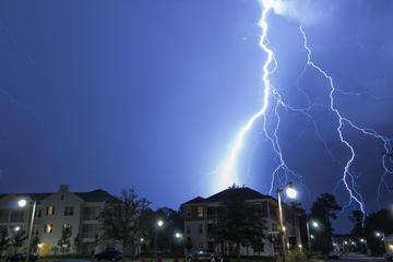 Lightning strike kills woman and her dogs in "one-in-a-million chance"