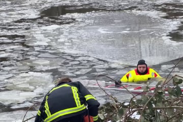 Hund bricht ins Eis ein und bleibt verschwunden: Besitzerin springt hinterher