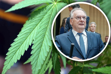 "Haben wir keine anderen Probleme?": Haseloff kritisiert Cannabis-Legalisierung