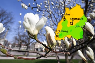 Frühling mit Frost-Faktor im Ländle: Die turbulenten Aussichten fürs Wochenende